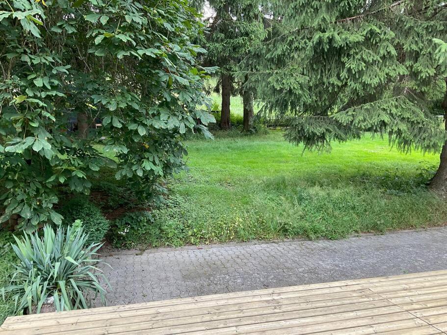 Wohnung In Idyllischem Oertchen メシェデ エクステリア 写真